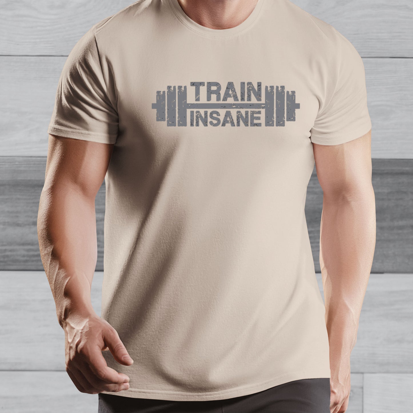 Train Insane T-shirt - Unisex Weight Training Tee